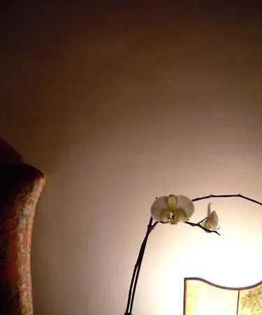 Hotel Cestelli Florence