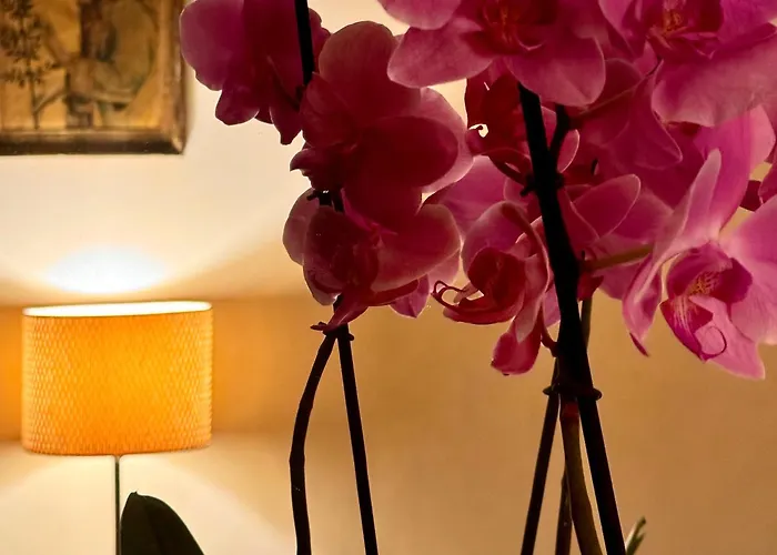 Hotel Cestelli Florencie