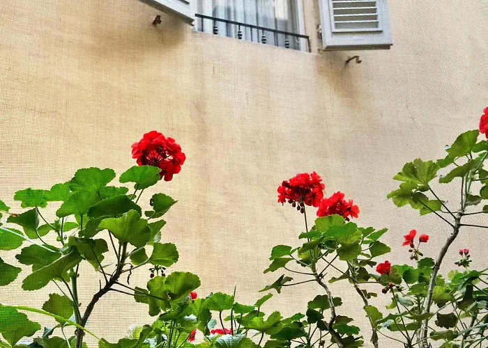 Cestelli Hotel Florença