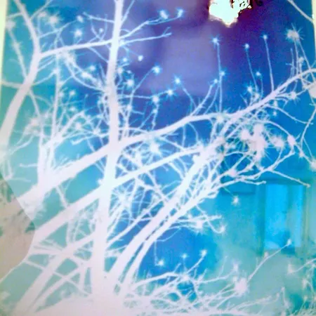 Cestelli * Флоренция