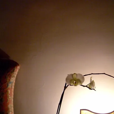 Отель Cestelli *